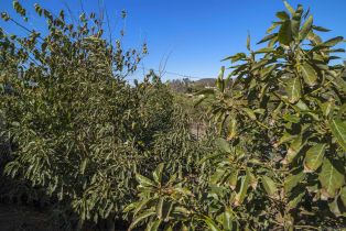 , 3605 Fortuna Ranch rd, Encinitas, CA 92024 - 46