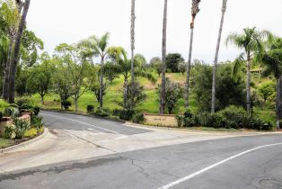 , 18186 Querida Sol, Rancho Santa Fe, CA 92067 - 10