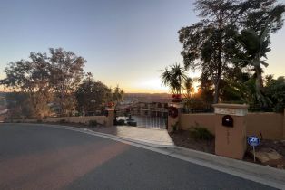 Single Family Residence, 2917 Managua pl, Carlsbad, CA 92009 - 7