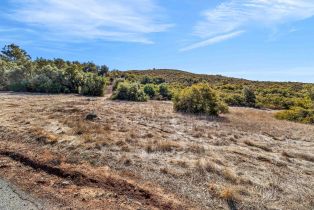 , 109 Magee rd, Valley Center, CA 92082 - 11