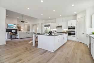 Single Family Residence, 29527 Viking View ln, Valley Center, CA 92082 - 7