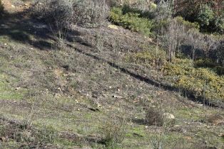 , 0 Cadencia ST Between 7402-7412, Carlsbad, CA 92009 - 12