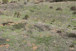 , 0 Cadencia ST Between 7402-7412, Carlsbad, CA 92009 - 13