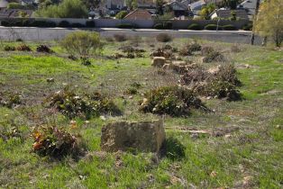 , 0 Cadencia ST Between 7402-7412, Carlsbad, CA 92009 - 17