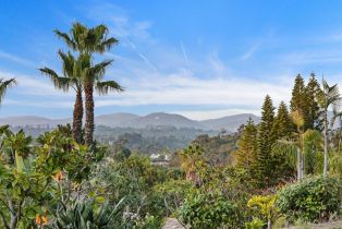 Single Family Residence, 5974 Rancho Diegueno rd, Rancho Santa Fe, CA 92067 - 15