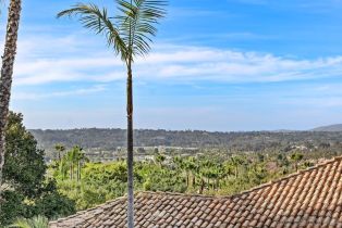 Single Family Residence, 5974 Rancho Diegueno rd, Rancho Santa Fe, CA 92067 - 23
