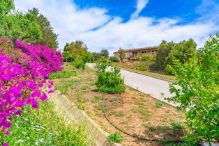 Single Family Residence, 1964 Tracy ct, Fallbrook, CA 92028 - 40