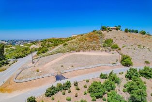 Single Family Residence, 3916 Citrus dr, Fallbrook, CA 92028 - 6