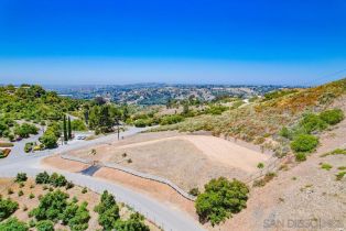 Single Family Residence, 3916 Citrus dr, Fallbrook, CA 92028 - 8