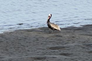 Condominium, 89 Tunapuna ln, Coronado, CA 92118 - 56