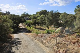 , 2562 Donnil ln, Fallbrook, CA 92028 - 13