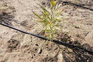 , 2562 Donnil ln, Fallbrook, CA 92028 - 5