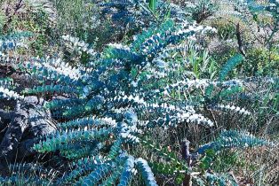 , 2562 Donnil ln, Fallbrook, CA 92028 - 6