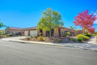 Single Family Residence, 263 Tom McGuinness Jr cir, Fallbrook, CA 92028 - 6