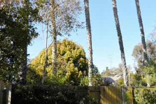 Single Family Residence, 1684 Honeysuckle ct, Encinitas, CA 92024 - 5