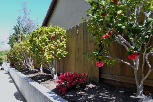 Single Family Residence, 1684 Honeysuckle ct, Encinitas, CA 92024 - 6