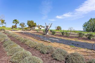 Single Family Residence, 1188 Sierra Bonita, Fallbrook, CA 92028 - 39