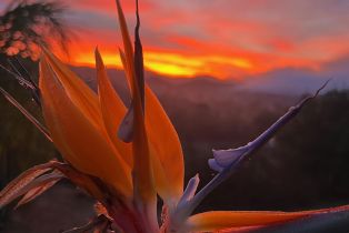 Single Family Residence, 13940 NORTHCREST ln, Poway, CA 92064 - 37