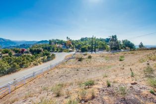 , 3916 Citrus dr, Fallbrook, CA 92028 - 17