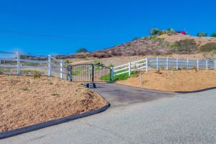 , 3916 Citrus dr, Fallbrook, CA 92028 - 6