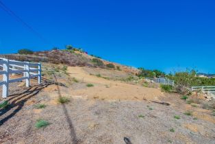 , 3916 Citrus dr, Fallbrook, CA 92028 - 8