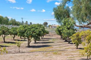 Single Family Residence, 34020 Madera De Playa, Temecula, CA 92592 - 22