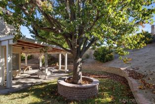 , 6716 Carobwood way, Riverside, CA 92506 - 30