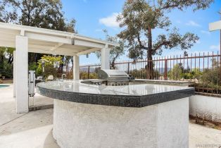 Single Family Residence, 30861 Mead River ct, Temecula, CA 92591 - 22