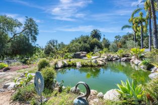 Single Family Residence, 1761 Winterwarm dr, Fallbrook, CA 92028 - 47