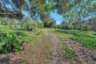 Single Family Residence, 1761 Winterwarm dr, Fallbrook, CA 92028 - 63