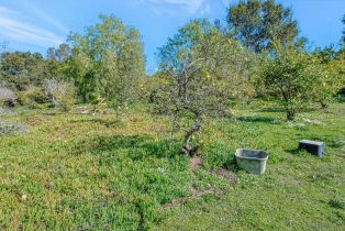 Single Family Residence, 1761 Winterwarm dr, Fallbrook, CA 92028 - 66