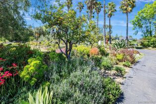 Single Family Residence, 1761 Winterwarm dr, Fallbrook, CA 92028 - 7