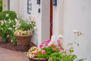 , 604 Camino de Orchidia, Encinitas, CA 92024 - 27