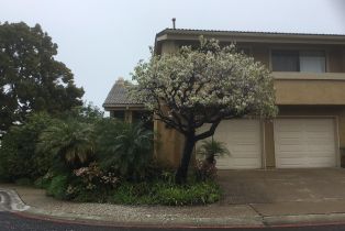 Condominium, 6645 Caminito Scioto, La Jolla, CA  La Jolla, CA 92037