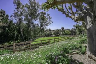 Single Family Residence, 5305 La Crescenta, Rancho Santa Fe, CA 92067 - 14
