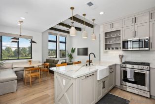 Single Family Residence, 1136 Molara Lane, CA  , CA 92024