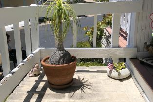 , 5438 Don Luis dr, Carlsbad, CA 92010 - 6