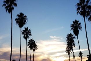 , 356 PLAYA DEL NORTE 8, La Jolla, CA 92037 - 31