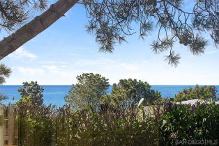 , 573 Amphitheatre dr, Del Mar, CA 92014 - 22