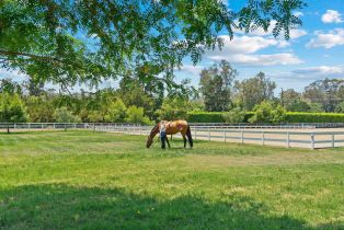 Single Family Residence, 16039 Via Del Alba, Rancho Santa Fe, CA 92067 - 17