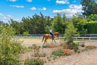 Single Family Residence, 16039 Via Del Alba, Rancho Santa Fe, CA 92067 - 29