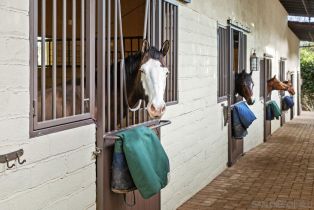Single Family Residence, 16337 Los Arboles, Rancho Santa Fe, CA 92067 - 8