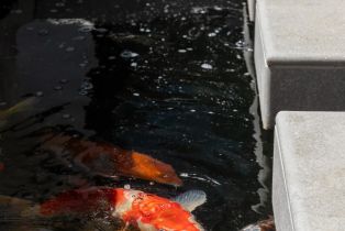 , 809 Sandy ct, Encinitas, CA 92024 - 12