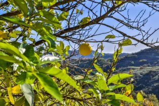 , 44945 Palladian ct, Temecula, CA 92590 - 15