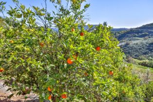 , 44945 Palladian ct, Temecula, CA 92590 - 4