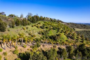 , 44945 Palladian ct, Temecula, CA 92590 - 45