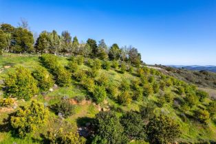 , 44945 Palladian ct, Temecula, CA 92590 - 46