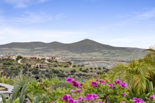 , 18233 Via Ambiente, Rancho Santa Fe, CA 92067 - 57