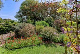 Single Family Residence, 13595 Calais dr, Del Mar, CA 92014 - 18