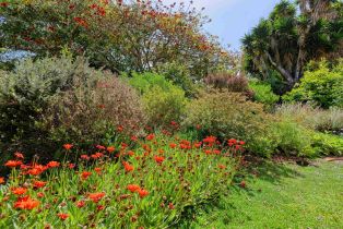 Single Family Residence, 13595 Calais dr, Del Mar, CA 92014 - 8